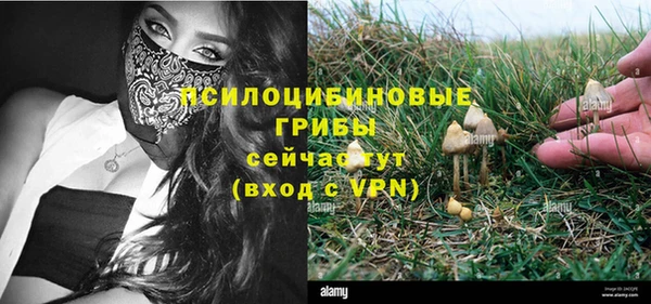 трава Беломорск