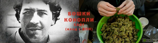 трава Беломорск