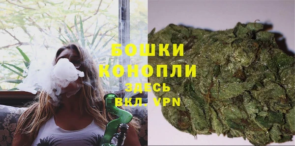 a pvp Белокуриха
