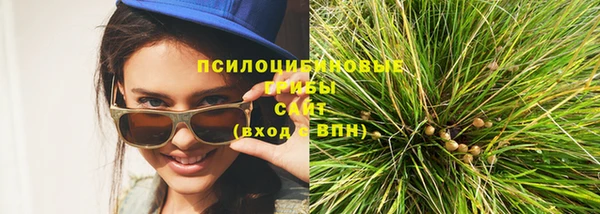 шишки Сосновый Бор