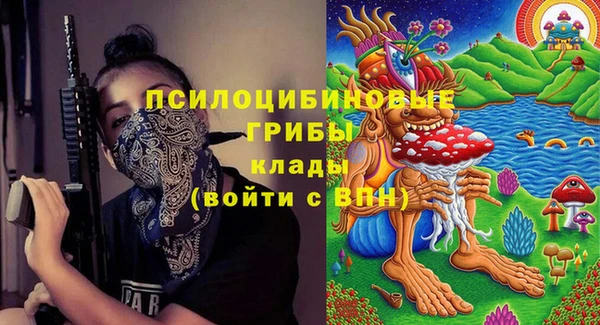a pvp Белокуриха