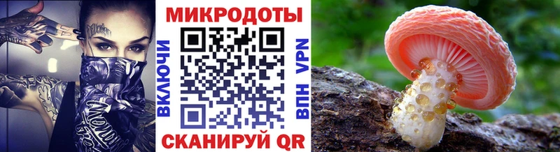 ссылка на мегу ссылки  Горняк  Псилоцибиновые грибы Magic Shrooms 